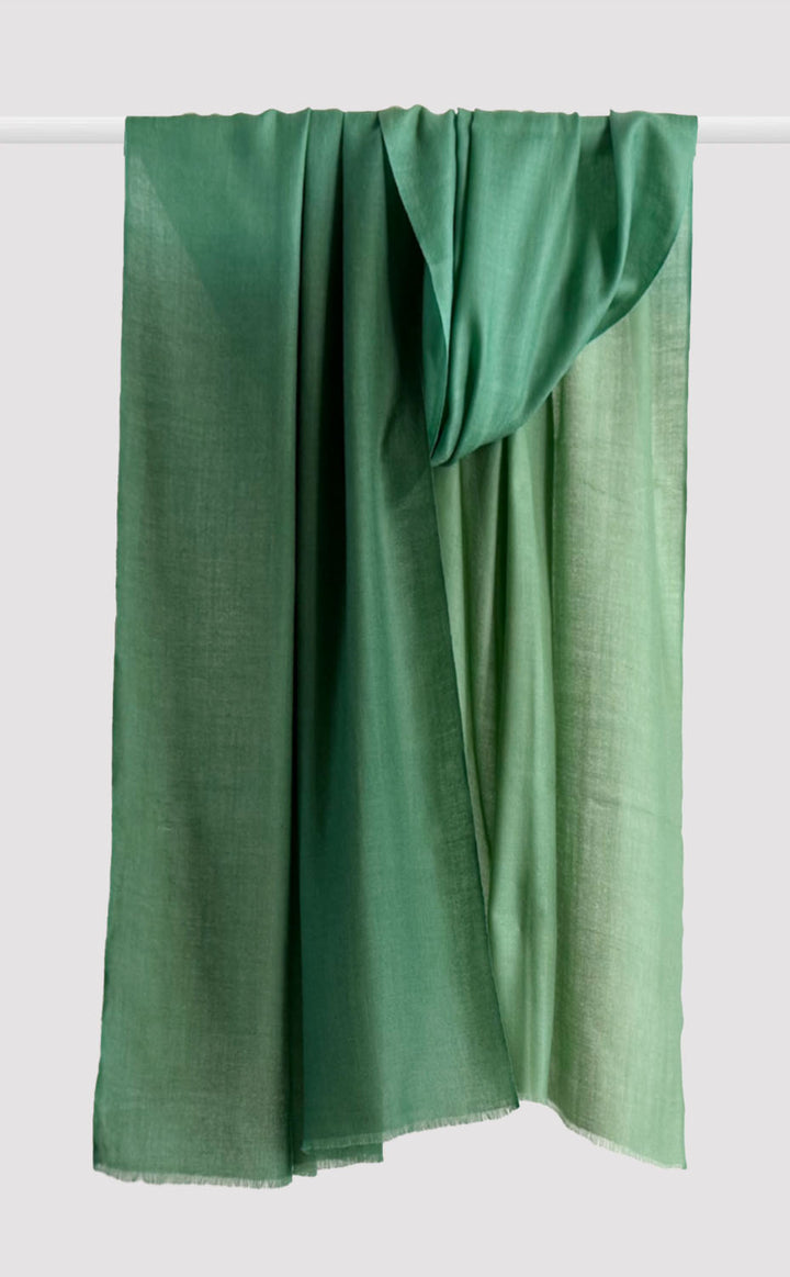Merino Ombre - Linear Forest Green