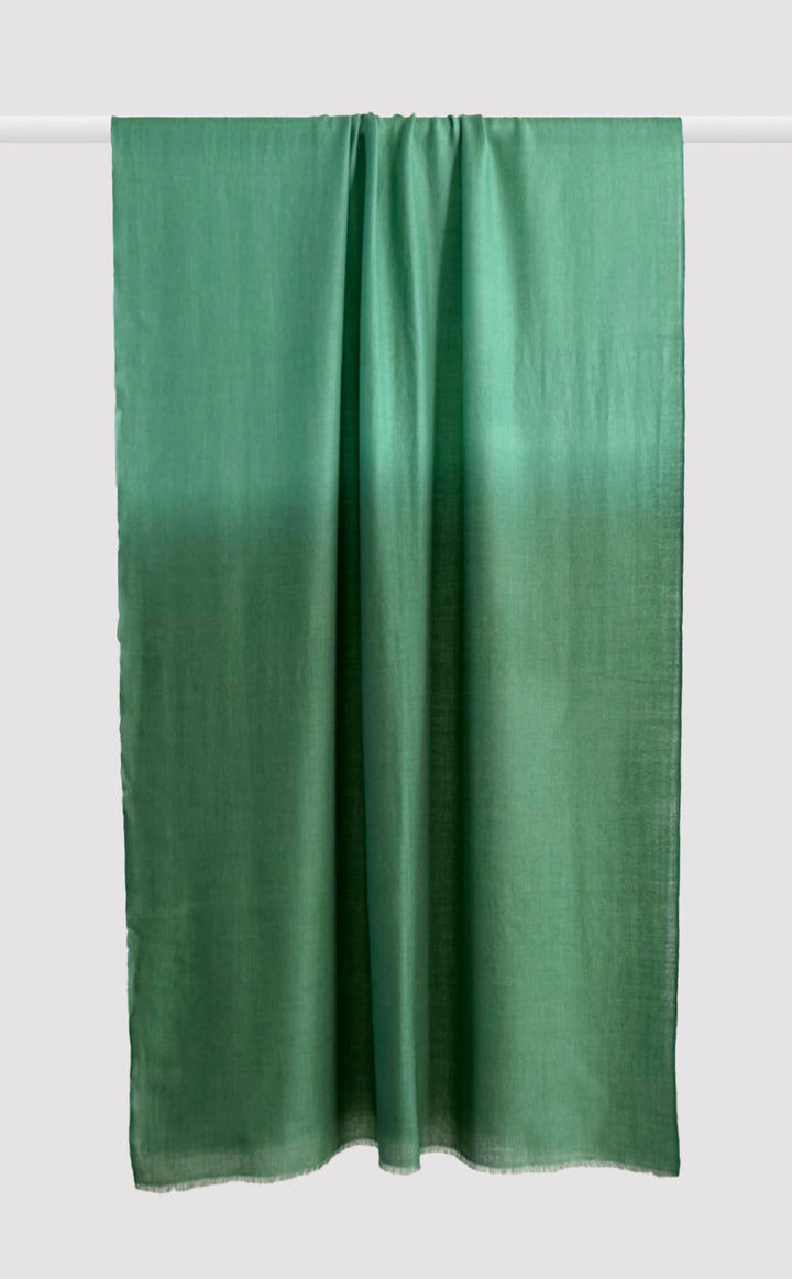 Merino Ombre - Linear Forest Green