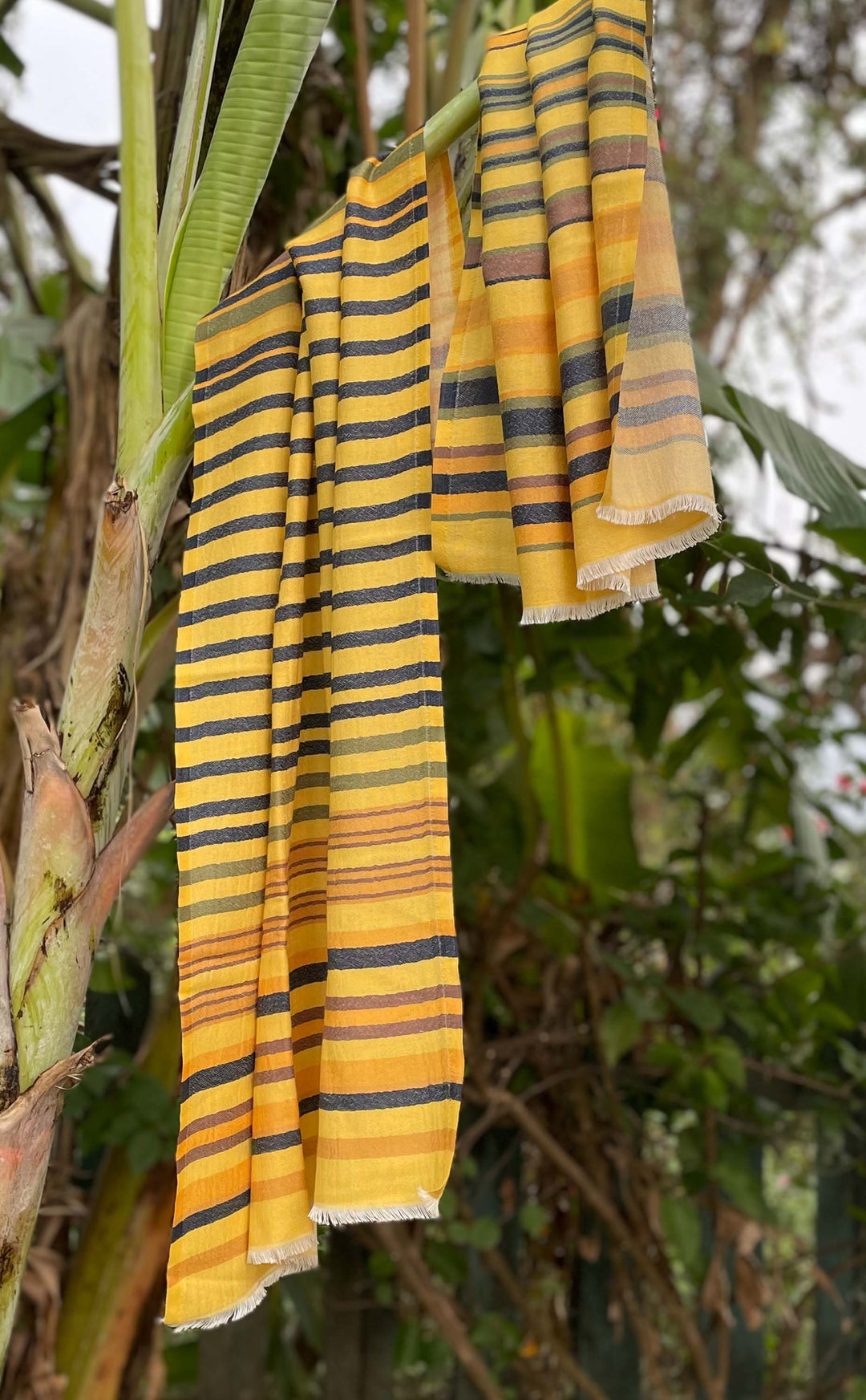 Sunshine Stripes