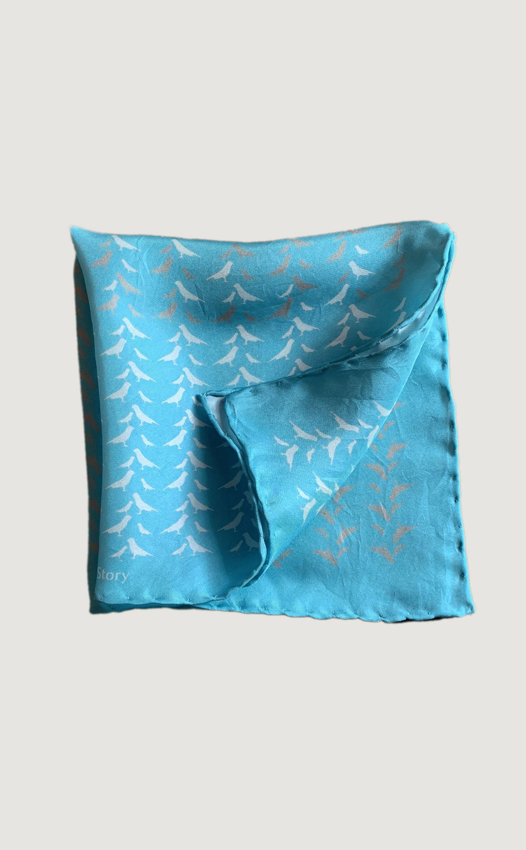 Sky Blue Dove Pocket Square